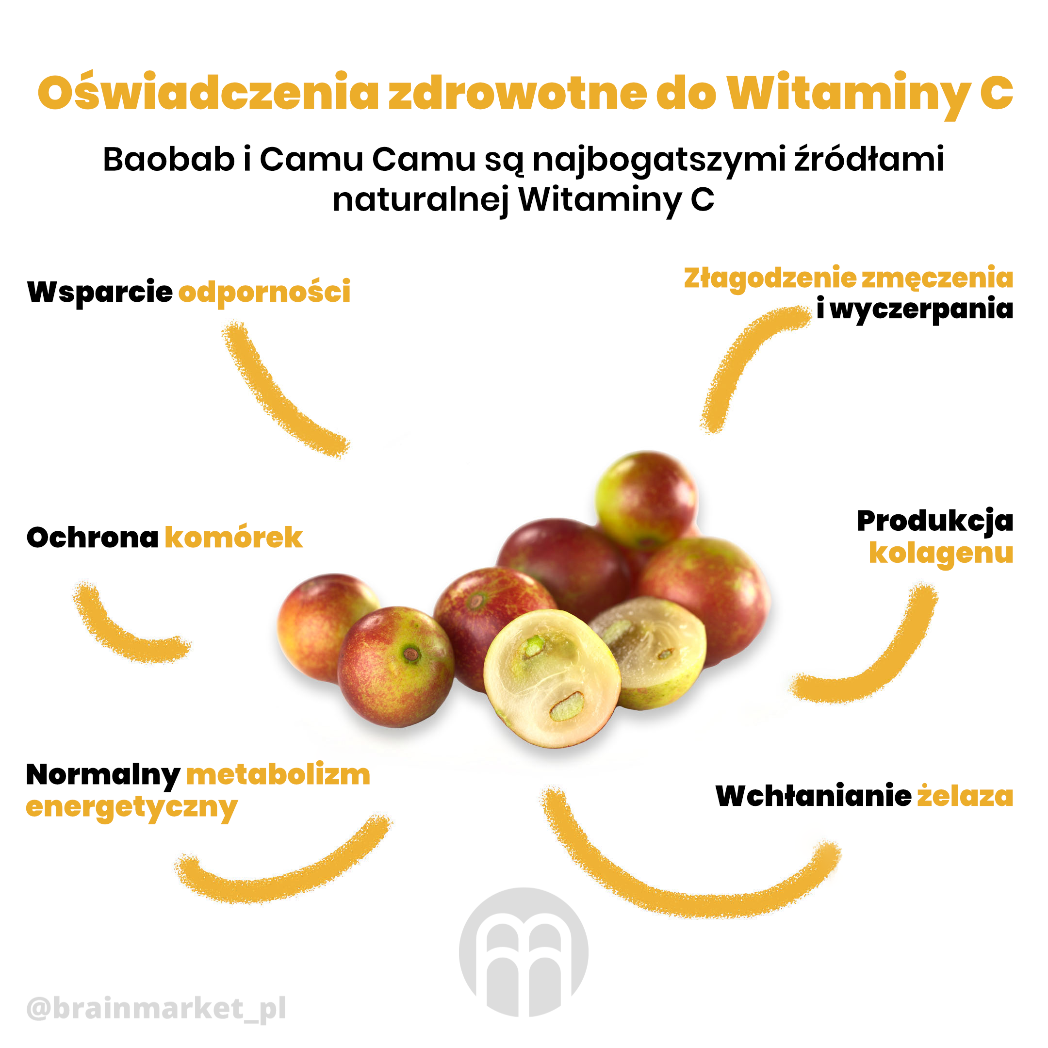 camu camu zdravotni tvrzeni vitamin c infografika brainmarket pl